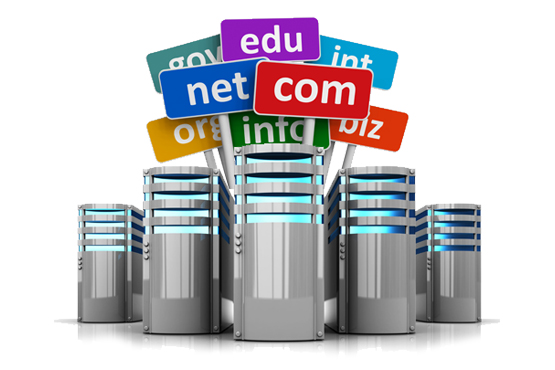 Domain registration and hosting services in Greater Noida